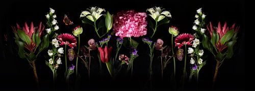 The Blooming Mirror Panorama