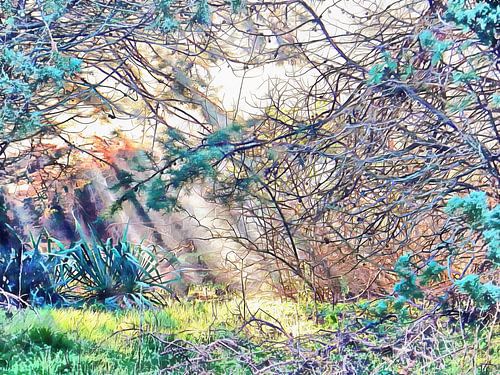 De magie van het moment