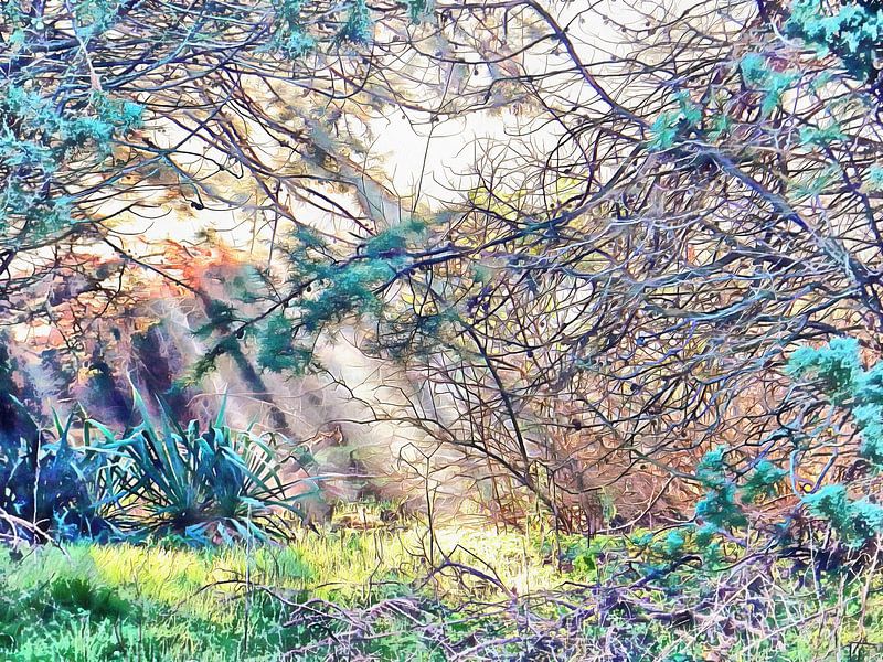 The Magic Of The Moment by Dorothy Berry-Lound