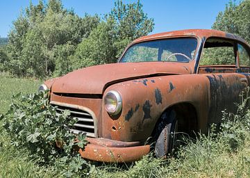 Rusty car by André Dijkshoorn