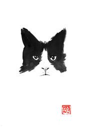 the cat by Péchane Sumie