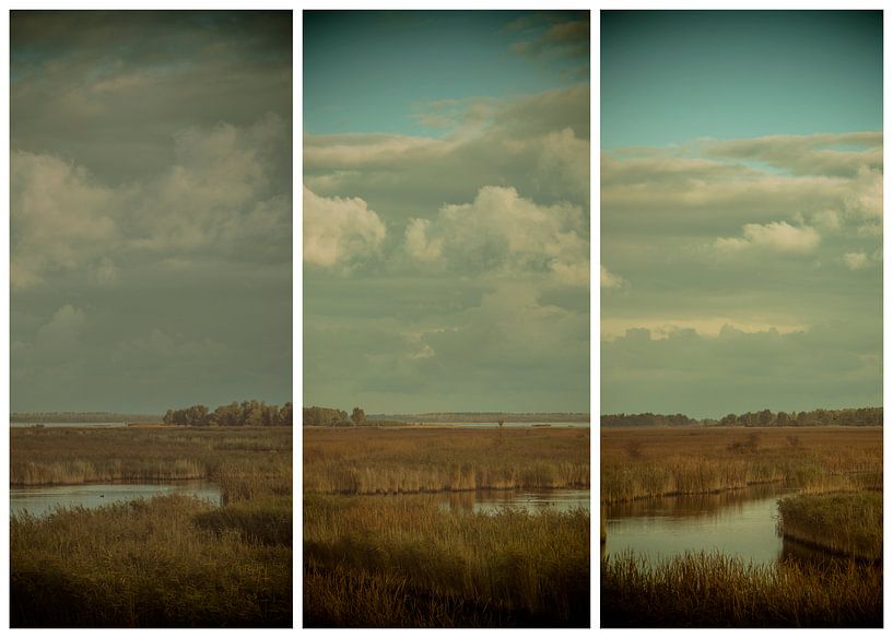 lauwersmeer triptychon 2 von anne droogsma