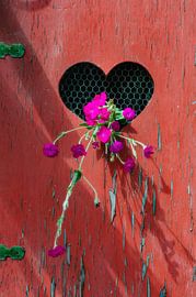 In flames and fires by Hannie Kassenaar