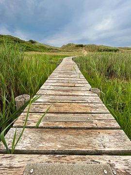 Houten pad door het duinlandschap van Noord-Jutland van Andrea Gaitanides - Fotografie mit Leidenschaft