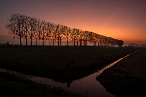 Mooie zonsondergang bij bomenrij