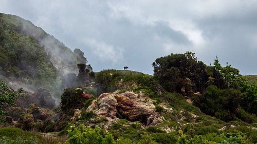 Azoren archipel, Terceira, prachtige vulkaaneilanden in Atlantische Oceaan.