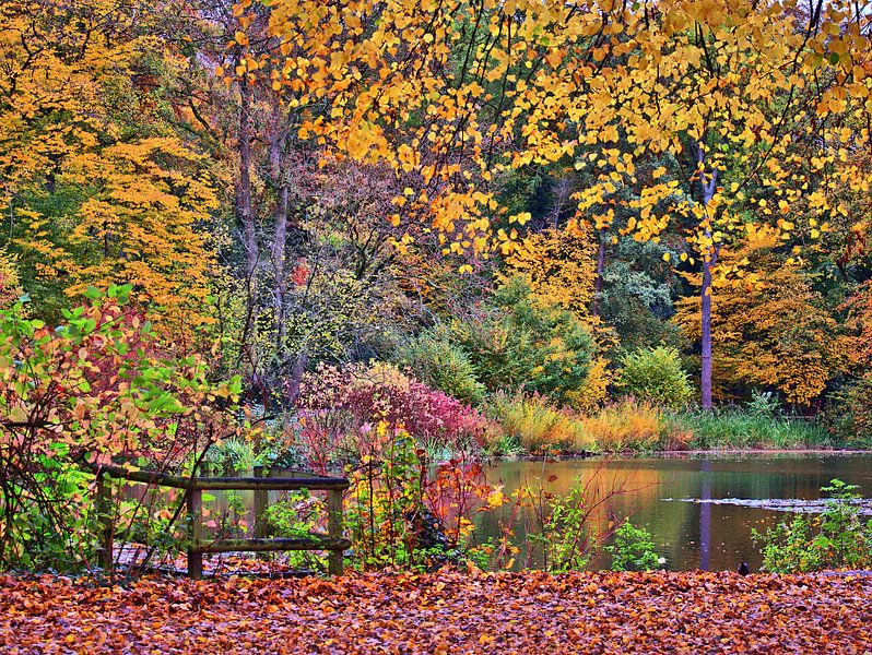 Herfst in het kasteelpark 2 van Edgar Schermaul