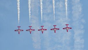 Snowbirds der kanadischen Streitkräfte.