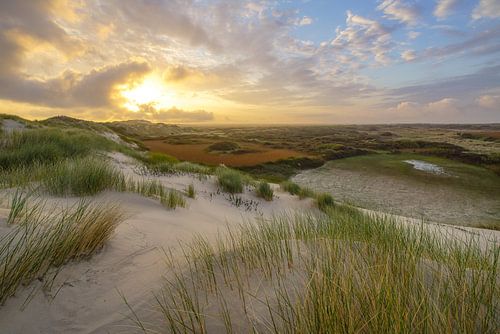 Terschelling en de prachtige natuur van De Boschplaat