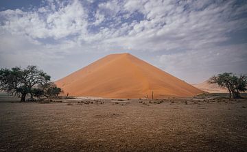 Groot duin in Sossusvlei in Namibië, Afrika van Patrick Groß