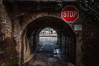 Arrêtez-vous et admirez la vue fantastique sur la Moselle.
