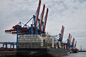 Bateau porte-conteneurs dans le port de Hambourg Altenwerder sur Elbkind89