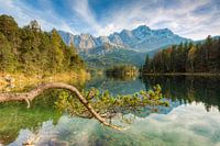 Pin à l'Eibsee