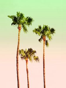 PASTEL PALM TREES no1