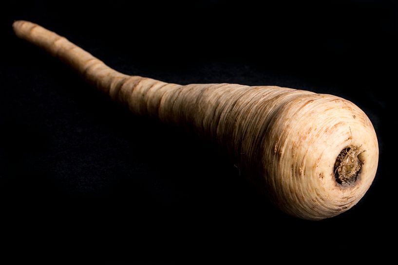 Parsnip on black background by Iris Koopmans
