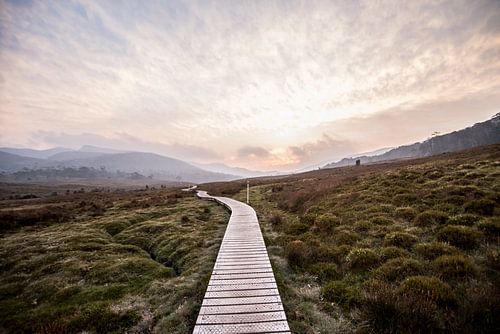 De la fumée dans l'air