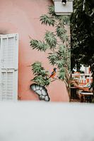 Street art in the center of Otrobanda, Willemstad (Curaçao)