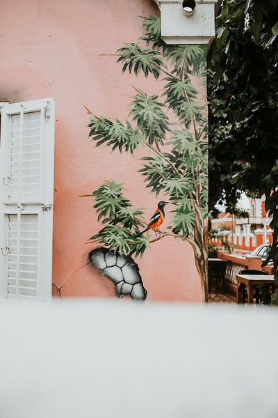 Art de rue dans le centre d'Otrobanda, Willemstad (Curaçao) par Trix Leeflang