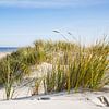 Dune de la mer du Nord avec vue sur la mer sur Ursula Reins
