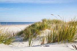 North Sea dune with sea view by Ursula Reins