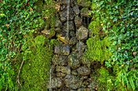 Water op bemoste natuurstenen muur