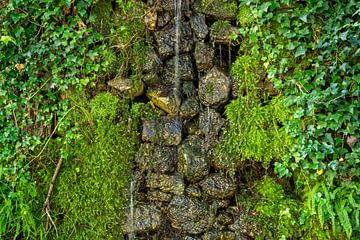 Wasser an moosbewachsener Natursteinmauer