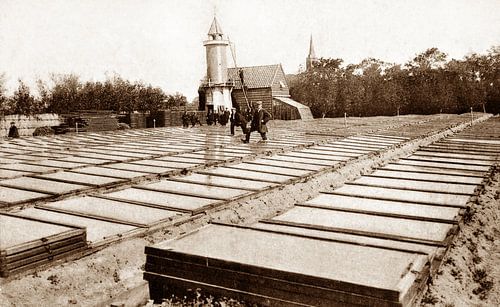 Historische tuinbouw bij Loosduinen.