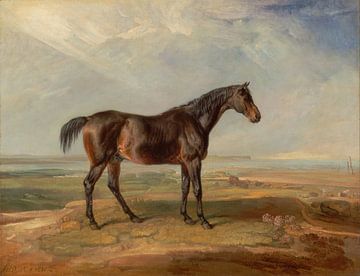Dr. Syntax, a Bay Racehorse, Standing in a Coastal Landscape, James Ward