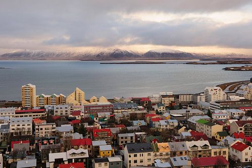 Blick über Reykjavik