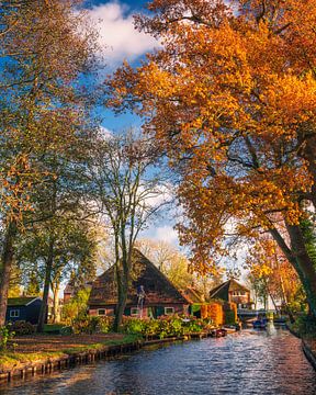 Golden Leaves and Quiet Waters of Giethoorn in the Netherlands van Arda Acar