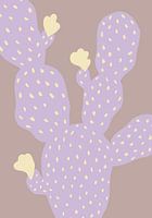 Lila cactus