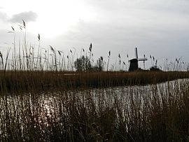 De Schermer van Eric  Sellmeijer