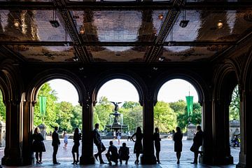 Central Park New York City by Eddy Westdijk