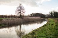 Blick auf den Veengoot von Ada Zyborowicz Miniaturansicht