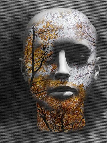 Het zilveren hoofd in de herfst