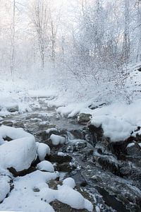 Winter landschap  van Ingrid Van Damme fotografie