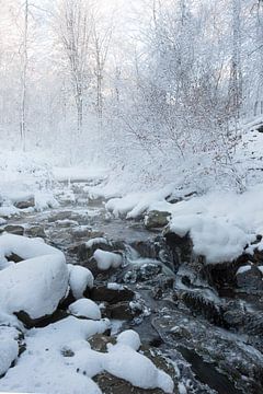 Winter landschap  by Ingrid Van Damme fotografie