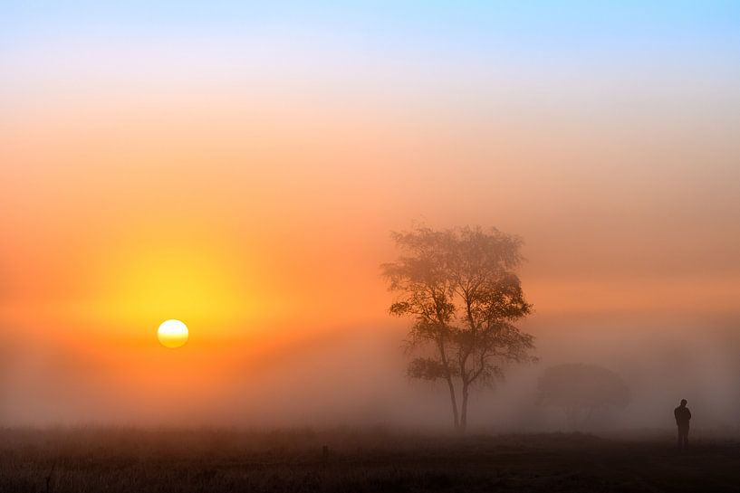 Farbenfroher Sonnenaufgang an einem nebligen Morgen von Wendy van Kuler Fotografie