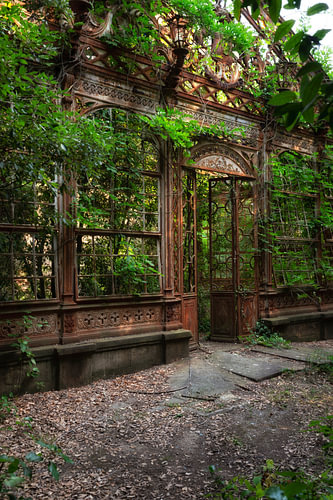 The Greenhouse 6