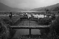 Pokhara Lakeside by Merijn Geurts thumbnail