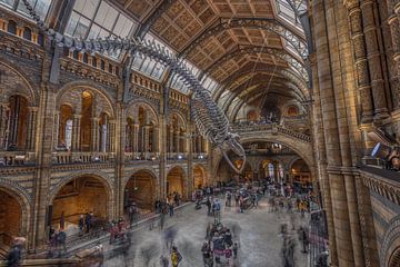 Natural History Museum London van Rene Ladenius Digital Art