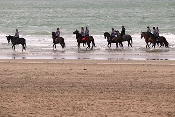 Horse riding North Sea coast by Inge Hogenbijl