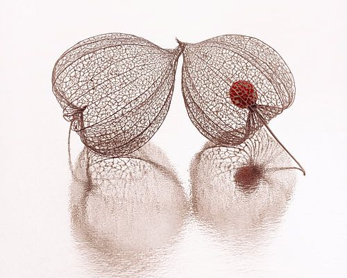 Het einde is nabij... nog even samen