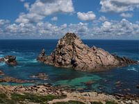 Suikerbroodrots in de Indische Oceaan in West-Australië