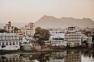 incredible India by Marscha van Druuten thumbnail