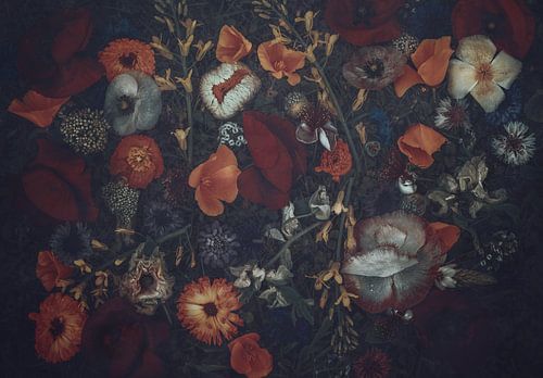 Summer Blooms In The Grass