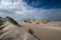 The Hors Texel
