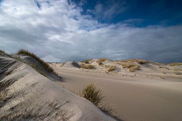 De Hors Texel van Connie de Graaf