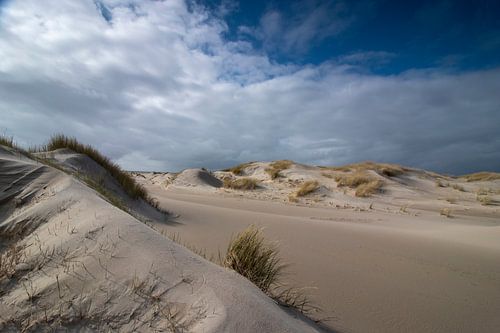 The Hors Texel