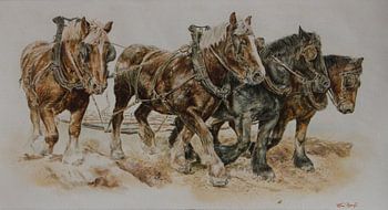 Seltene Farbkombination